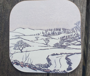 Lake District Landscape Coaster