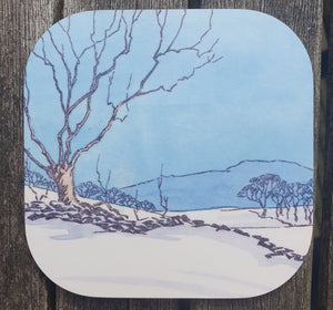 Lake District Landscape Coaster